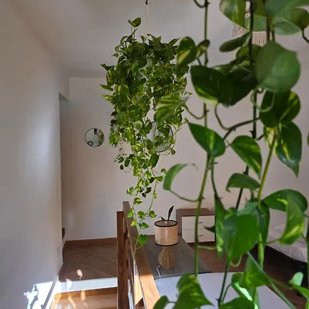 Domu Malaspina بيت للعطل *