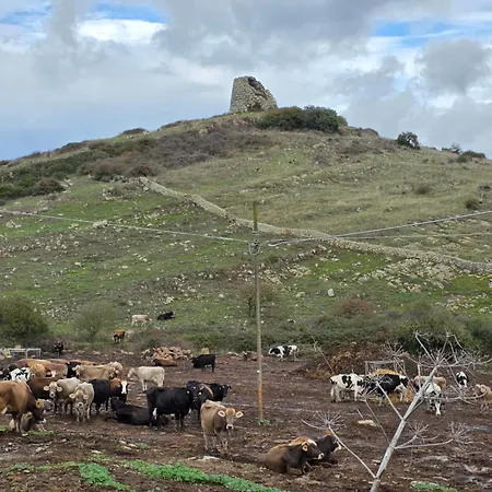 Domu Malaspina بيت للعطل