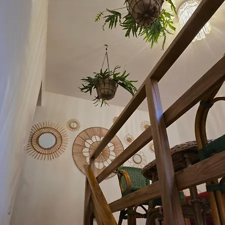 Domu Malaspina