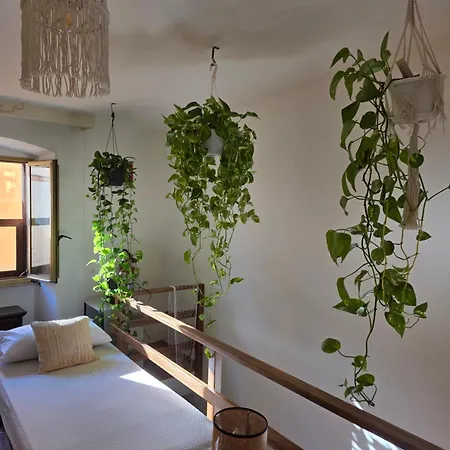 Domu Malaspina בוסה